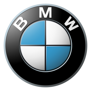 BMW silicone hoses
