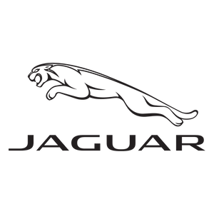 Jaguar silicone hoses