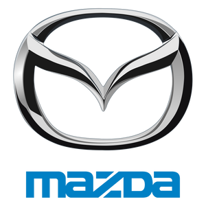 Mazda silicone hoses