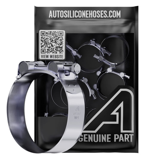 Assorted T-Bolt Hose Clamps